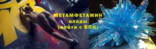 индика Новодвинск