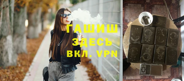 индика Новодвинск