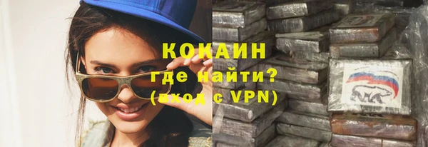 индика Новодвинск