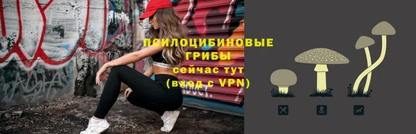 индика Новодвинск