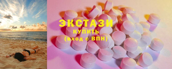 индика Новодвинск