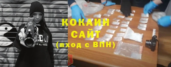 индика Новодвинск
