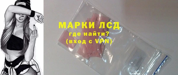 индика Новодвинск