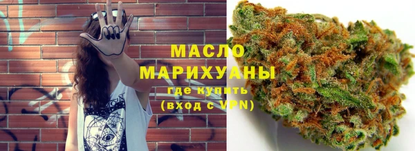 индика Новодвинск