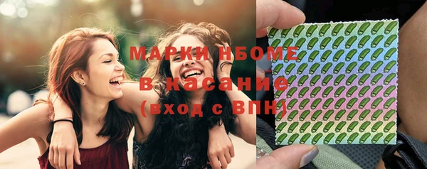 индика Новодвинск