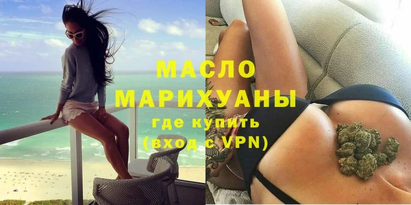 индика Новодвинск