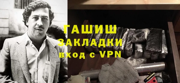 индика Новодвинск