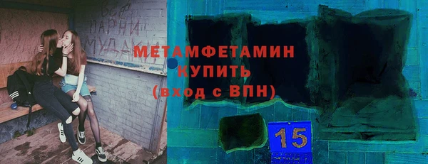 индика Новодвинск