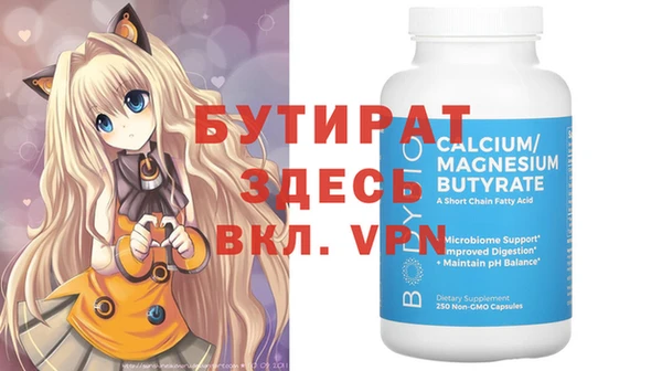 индика Новодвинск