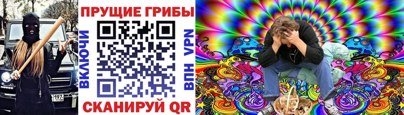 Псилоцибиновые грибы Cubensis  где продают   Кубинка 