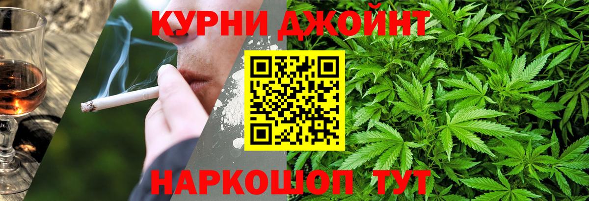 Бошки Шишки план Кубинка